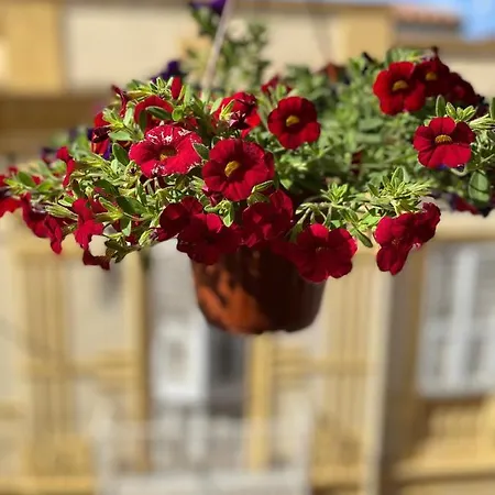 Antica Casa Tabarkina * 卡洛福泰
