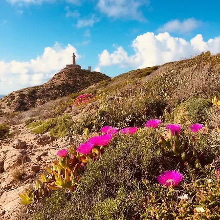 Antica Casa Tabarkina Carloforte (Isola di San Pietro)