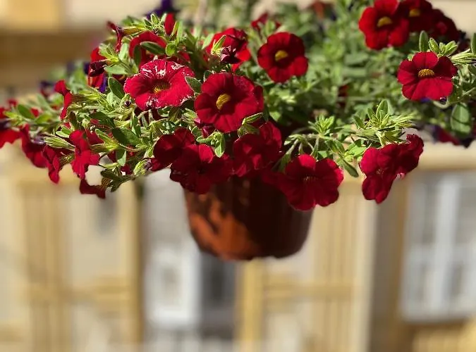 Antica Casa Tabarkina * Carloforte (Isola di San Pietro)